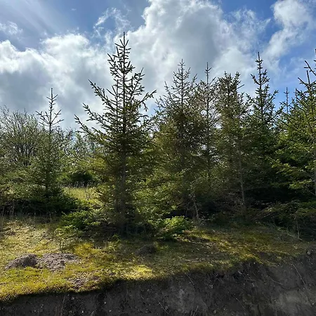 Cozy Tiny House In Nature - D *