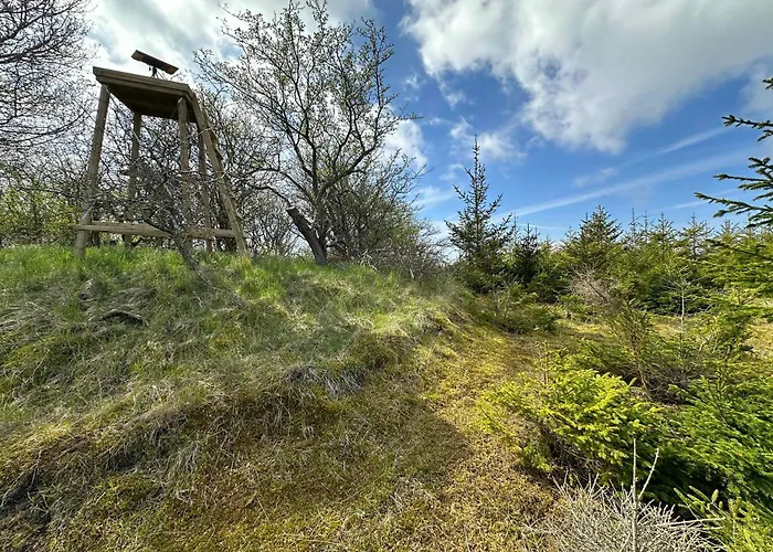 Lejlighed Cozy Tiny House In Nature - D Sejerby